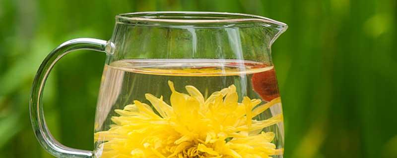 菊花茯苓泡水喝的功效 菊花和什么一起泡最好