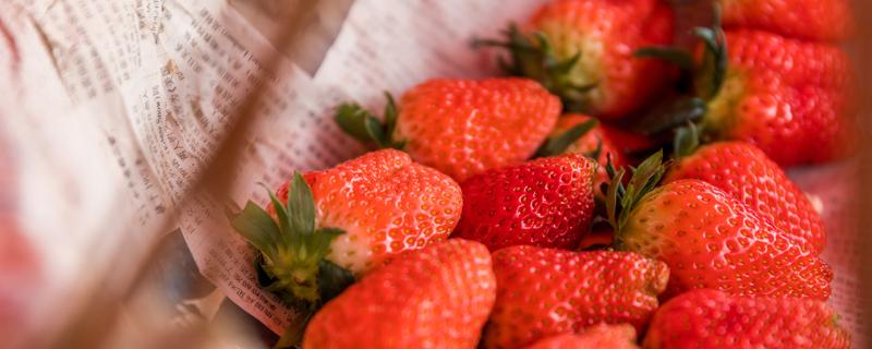 冬季草莓几月上市 冬天的草莓能不能吃