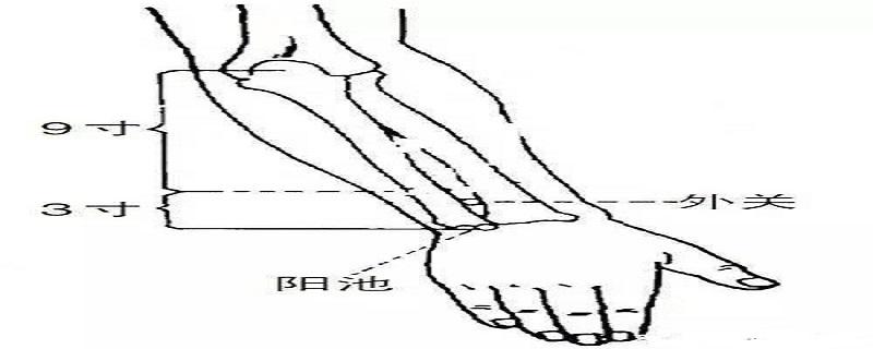 外关针灸位置图和作用 外关针灸图片