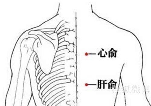 冠心病艾灸穴位（冠心病灸哪里）