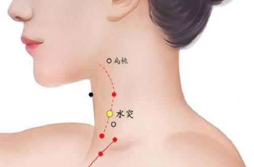 水突的准确位置图作用（水突的准确位置图图解）