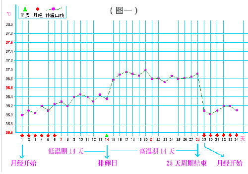 排卵期温度是多少（排卵期温度是多少度）