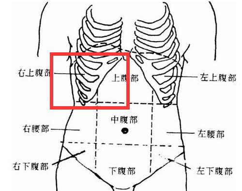 右上腹部疼痛的可能病因 男人右上腹部疼痛的可能病因