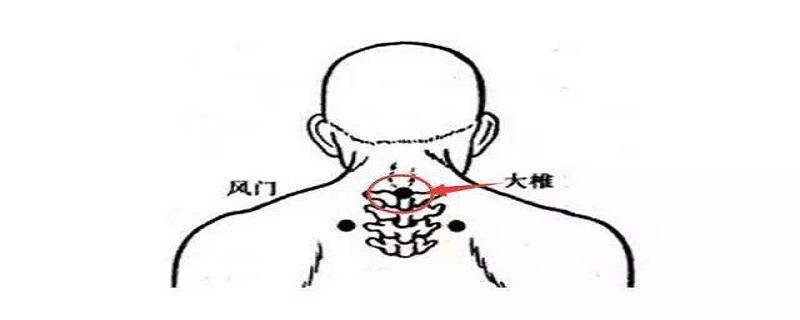 大椎的位置在哪里（大椎具体位置）