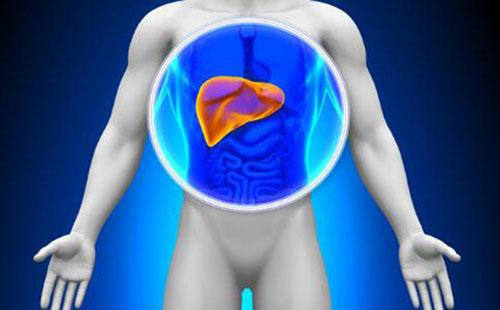 肝癌常见临床表现（肝癌常见临床表现是A消瘦乏力腹胀）