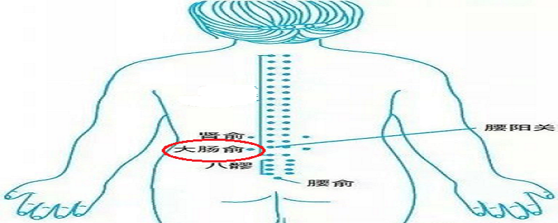 针灸大肠俞有什么作用 大肠俞针刺