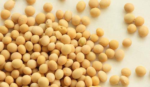 黄豆有什么功效 常吃黄豆的15大养生功效