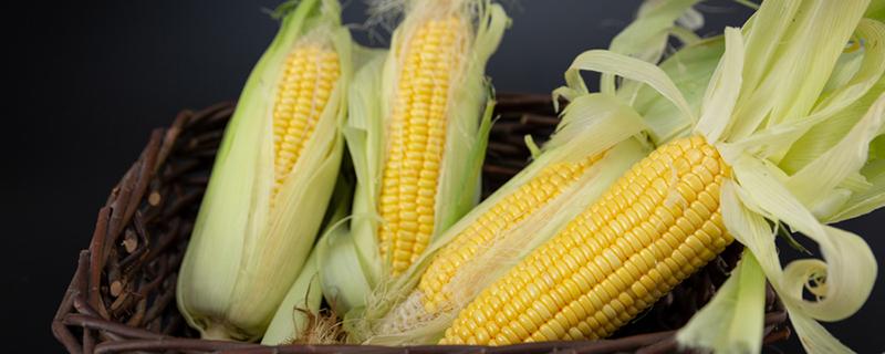 玉米有什么营养成分 吃玉米有什么作用