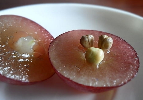 什么食物减肥效果好 减肥可以吃的食物清单