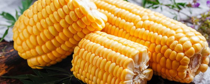 老玉米和嫩玉米怎么区分 怎么挑选玉米呢
