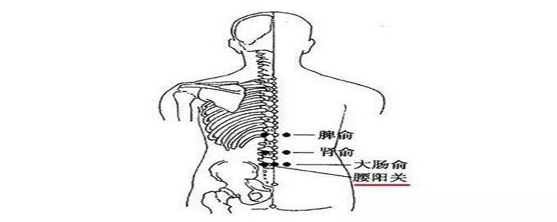 腰阳关的准确位置视频 怎么找腰阳关视频