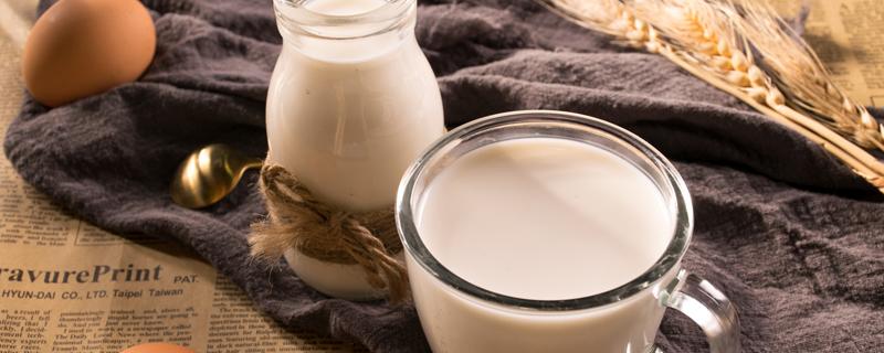 牛奶燕麦的功效与作用 牛奶燕麦可以减肥吗