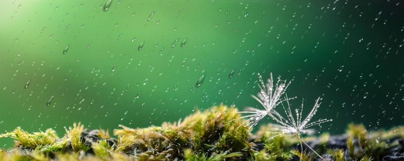 淋雨后喝什么驱寒祛湿 淋雨后喝什么驱寒祛湿 泡脚