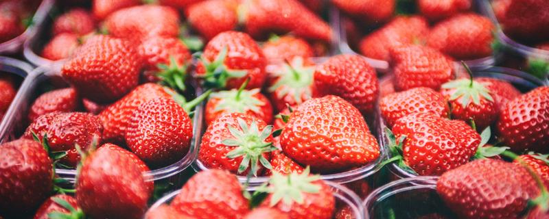 吃草莓可以补充维生素吗 草莓买什么样的好