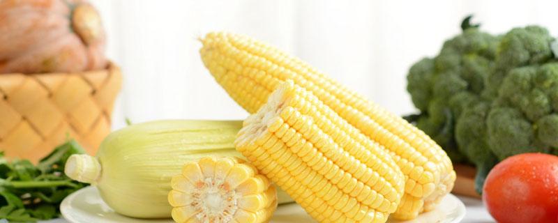 黄玉米煮多久就熟了 黄玉米和白玉米哪个好