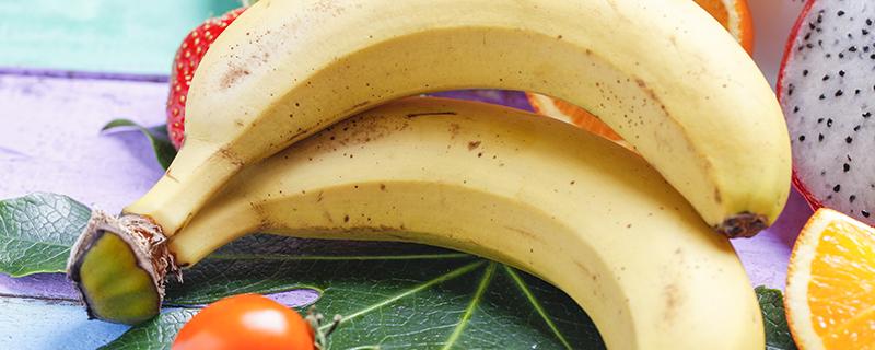 小米蕉和香蕉的营养价值区别 小米蕉和香蕉哪个好吃