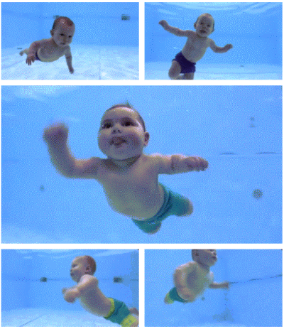刚出生的婴儿被放到泳池各种搞笑姿势，居然有仰泳！
