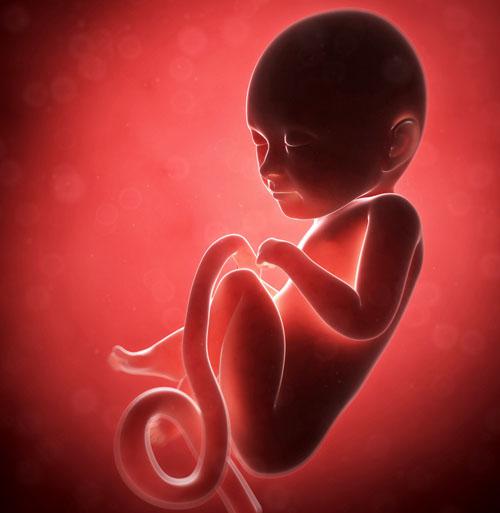 打促排卵针对胎儿有影响吗 打促排卵针对怀孕有什么影响吗