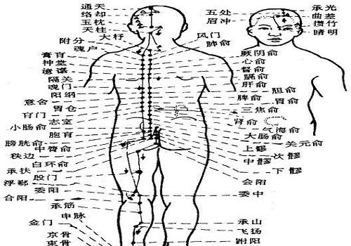 膀胱经不通的症状 膀胱经不通的症状及调理方法