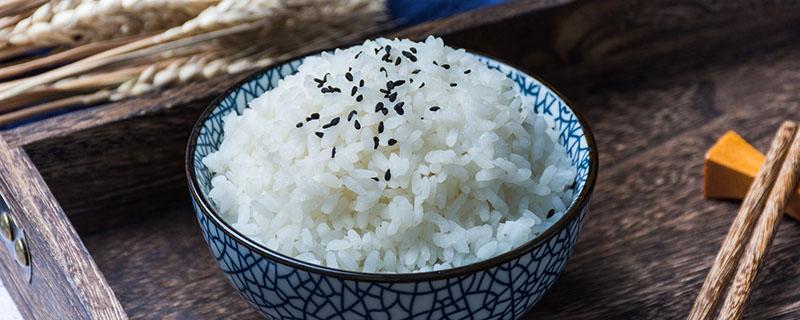 米饭真的会导致发胖吗 米饭真的会导致发胖吗视频