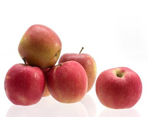 苹果减肥法的危害 苹果减肥法有用吗