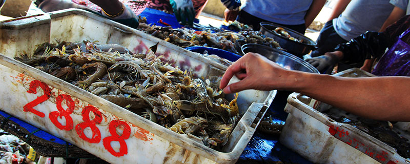 海南海鲜市场有哪些 海南有名的海鲜市场在哪
