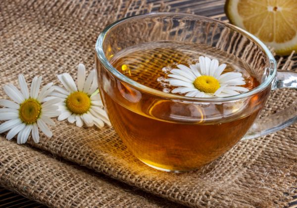 洋甘菊能去痘印吗 洋甘菊有哪些作用