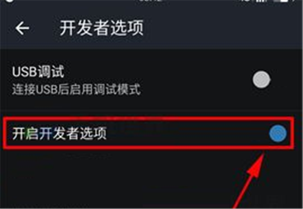 一加6开发者选项设置方法