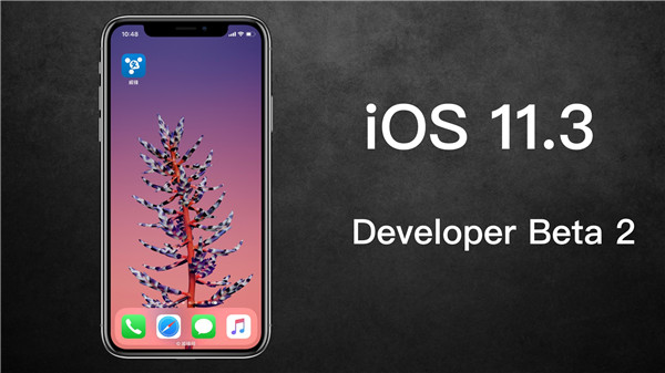 iOS11.3Beta2降频开关在哪