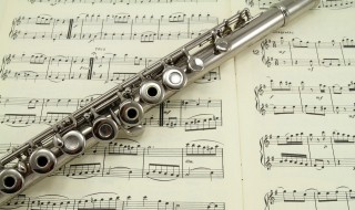 双簧管和单簧管的区别 双簧管和单簧管有什么不同