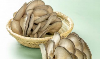 常吃的20种蘑菇的种类有哪些 常吃的20种蘑菇的种类有什么