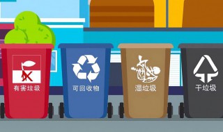 上海生活垃圾分类 上海市生活垃圾介绍