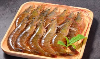 保存新鲜的基围虾的方法 如何保存新鲜的基围虾