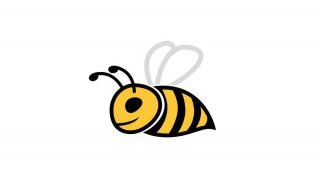 蜜蜂窝的功效与作用 蜜蜂窝的功效和作用
