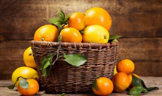 红公主柑橘品种介绍 红公主柑橘品种简介