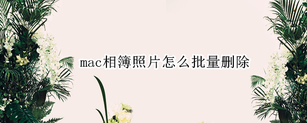 mac相簿照片怎么批量删除（mac相册照片怎么批量删除）