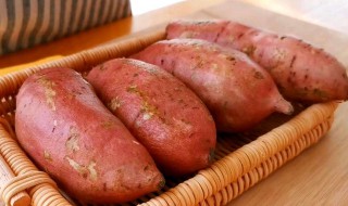 红薯的种植时间和方法 红薯怎么种植
