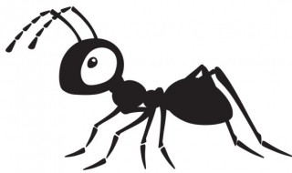 蚂蚁是昆虫吗是益虫还是害虫 蚂蚁是害虫还是益虫