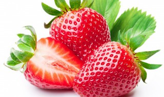 草莓上的黑毛刺是什么 草莓相关资料介绍