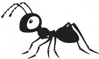 蚂蚁洞口怎么辨别方向 蚂蚁洞口如何辨别方向
