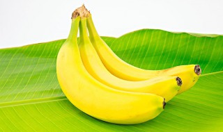 香蕉和芭蕉之间的区别 香蕉和芭蕉之间的区别简单介绍