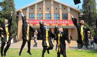 中国有多少大学 全国高等学校共计2956所