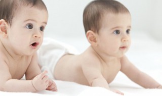 八个月的宝宝早教方法 宝宝应该怎么早教