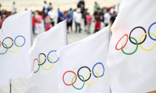 奥林匹克旗帜上的五环代表什么 奥林匹克旗帜的五环各代表什么