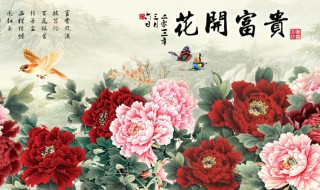 花开富贵是什么 花开富贵简单介绍