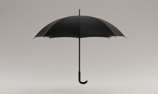 黑胶伞和普通伞的区别 黑胶伞和普通伞有什么区别呢