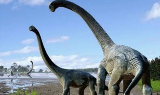 食草恐龙有哪些 食草恐龙有几种