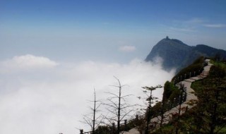 四大佛山是哪四大佛山 四大佛山分别是什么