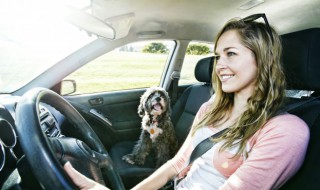 汽车保险带的正确使用方法 汽车安全带的正确使用方法介绍