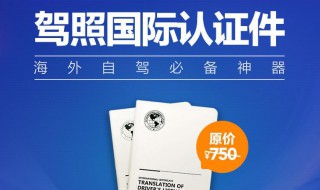 国际驾照怎么申请 持国内驾照如何获得国际驾照